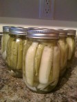 Pickles photo